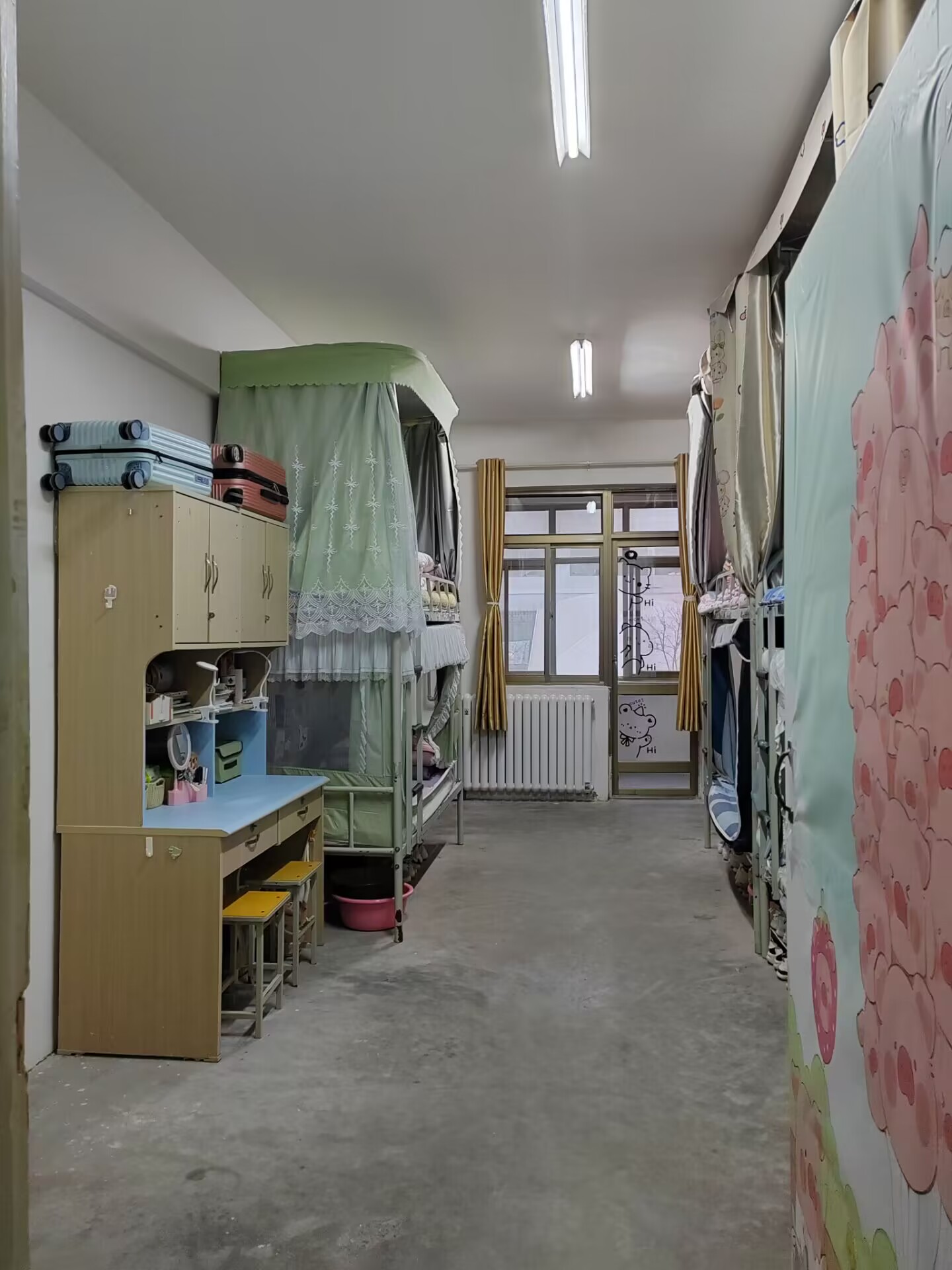 223-2.jpg 223-2.jpg
